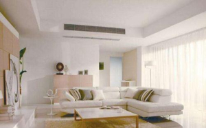 中央草莓视频在线观看污全品牌選購攻略